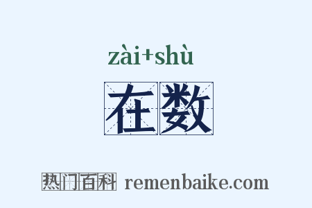 在数是什么意思的图片